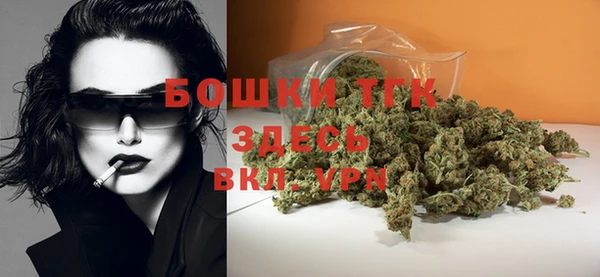 эйфоретик Арсеньев