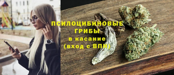 эйфоретик Арсеньев