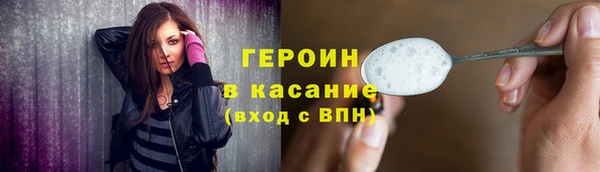 прущие грибы Аркадак