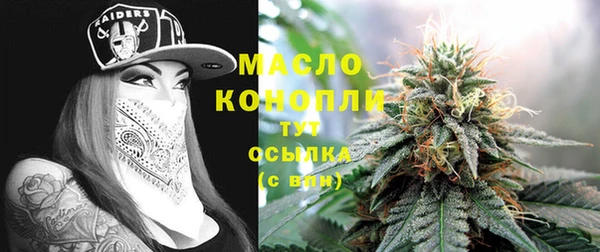 прущие грибы Аркадак