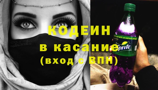 прущие грибы Аркадак