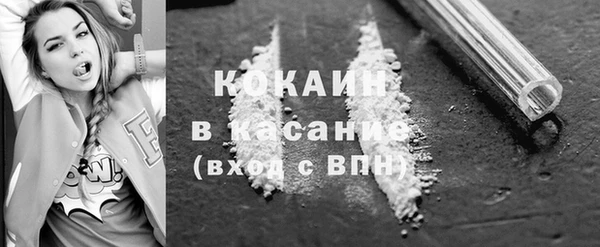 прущие грибы Аркадак