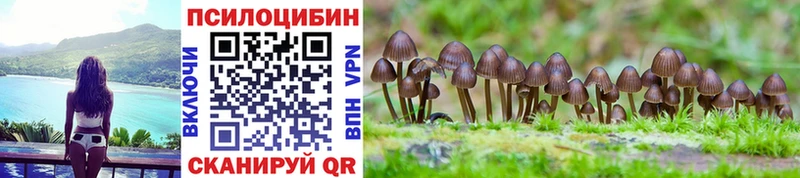 Псилоцибиновые грибы Psilocybine cubensis  дарнет шоп  mega зеркало  Пошехонье 